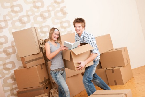 Organized moving boxes ready for local removals in Forestdale
